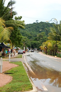 f0001305_15264525.jpg