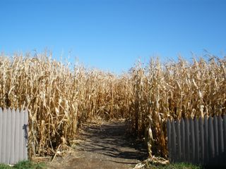 b0040413_1142734.jpg