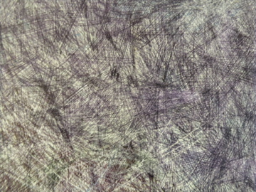 e0167315_227639.jpg