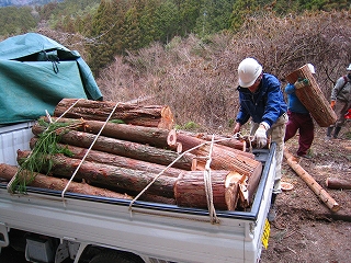 e0002820_2045812.jpg