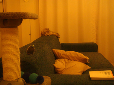e0157129_2253578.jpg