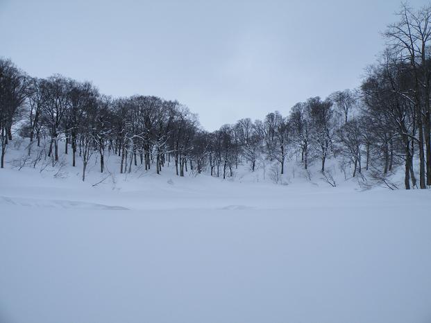 f0118332_2323031.jpg