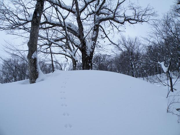f0118332_2326727.jpg