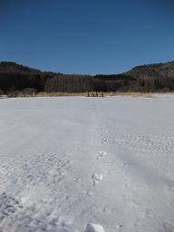 b0116933_19294929.jpg
