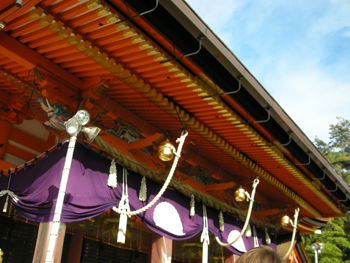 b0035734_12649.jpg