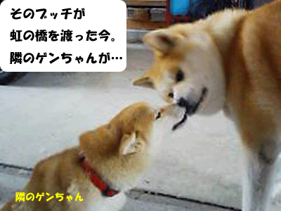 f0008935_10493618.gif