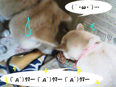 f0008935_10495712.gif