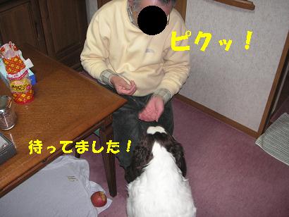 c0179136_25088.jpg