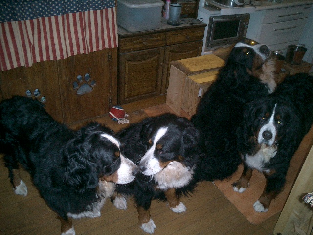 c0193042_0581587.jpg