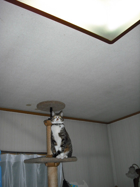 c0194042_20453499.jpg