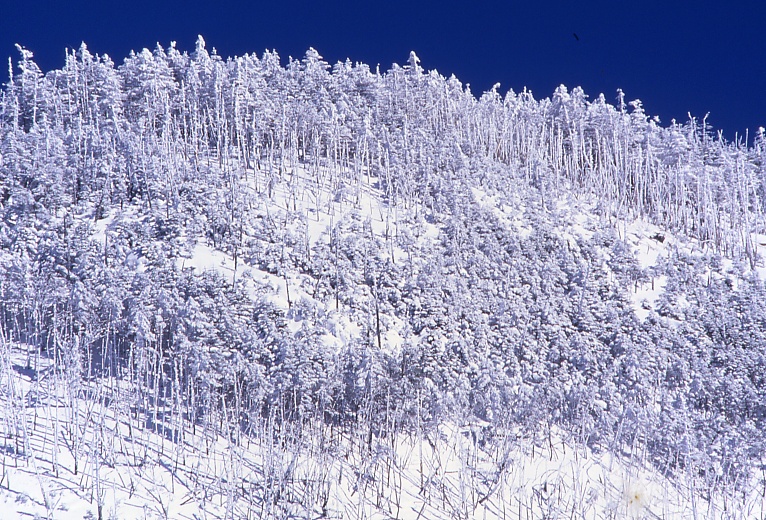 f0045844_23381921.jpg