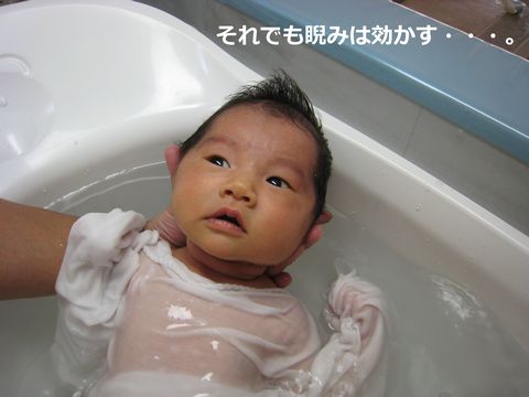 a0090451_232289.jpg