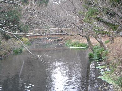 c0067851_16125822.jpg