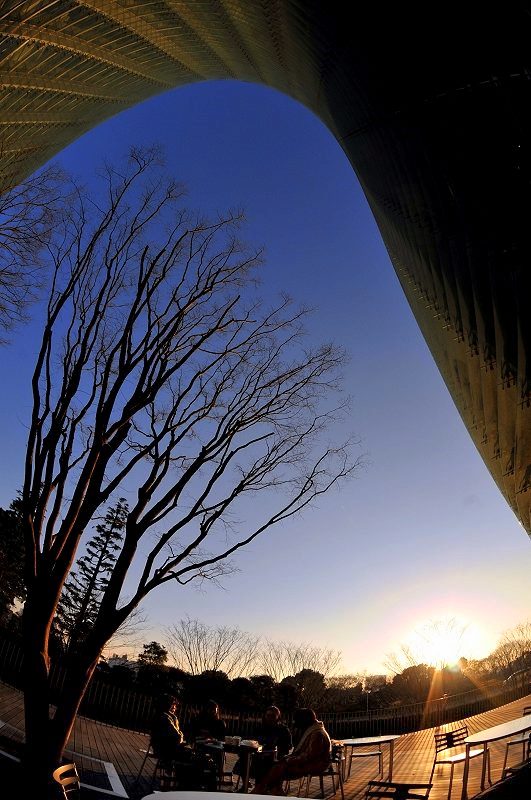 e0131161_20165479.jpg