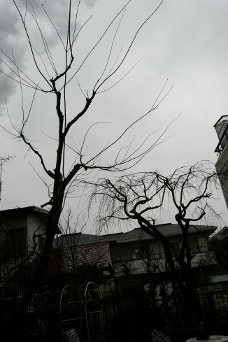 f0195963_22411092.jpg