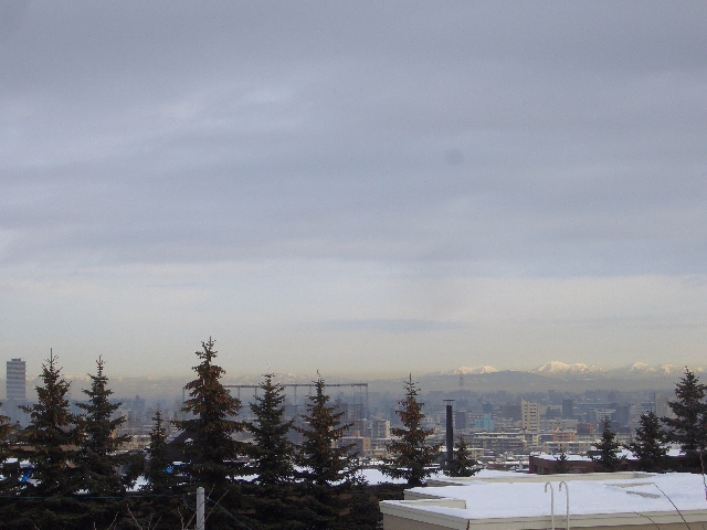 d0098665_1827831.jpg