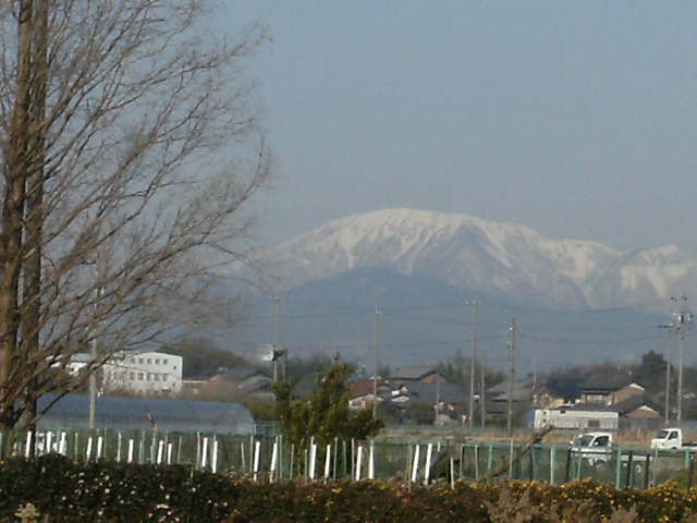 f0137275_6322855.jpg