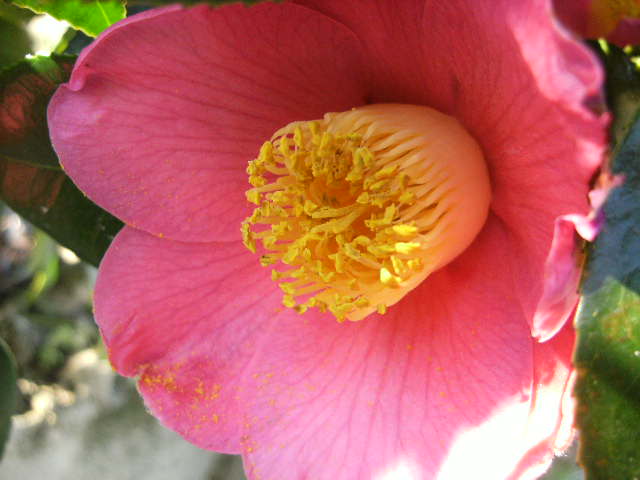 f0137275_6341222.jpg