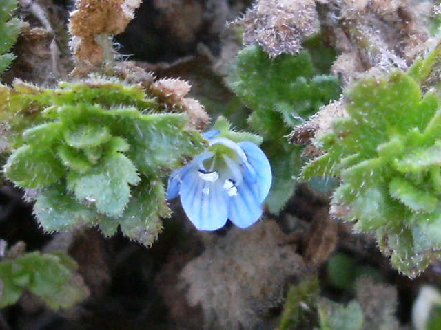 f0137275_6354937.jpg