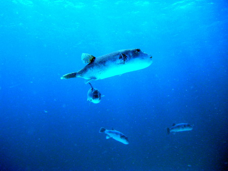 a0002177_06017.jpg