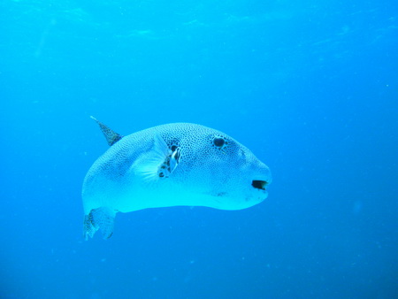 a0002177_081655.jpg
