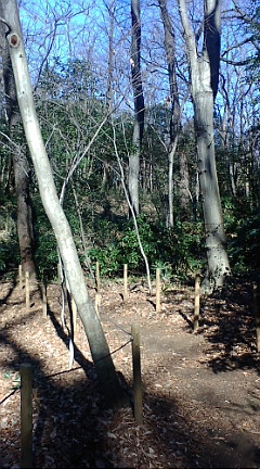 f0004180_1635916.jpg