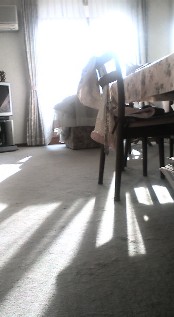 f0039281_0165732.jpg