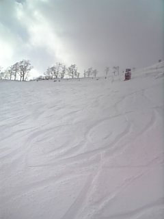 c0096582_16115819.jpg