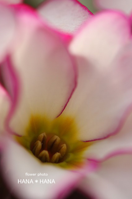 b0143484_9585962.jpg