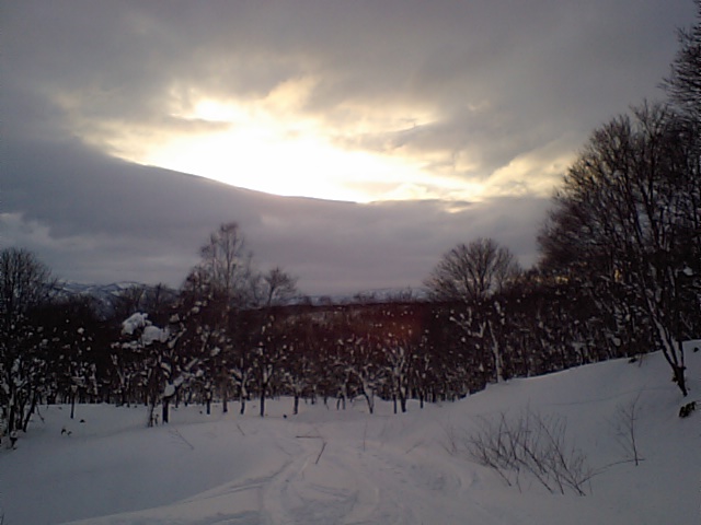f0087787_1555614.jpg