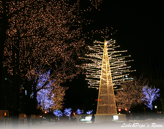 f0001895_15322443.jpg