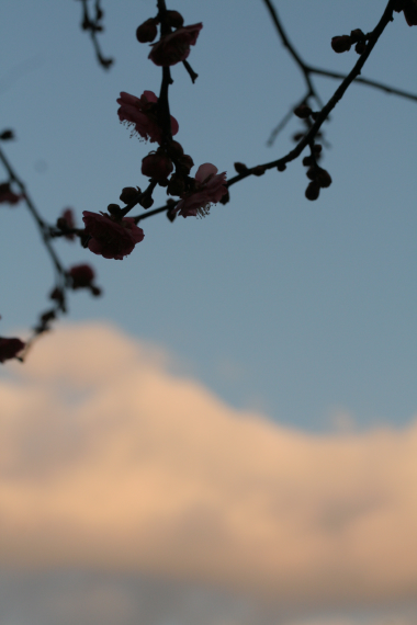 c0084097_3104198.jpg