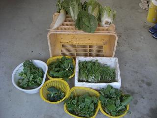 c0187298_052562.jpg