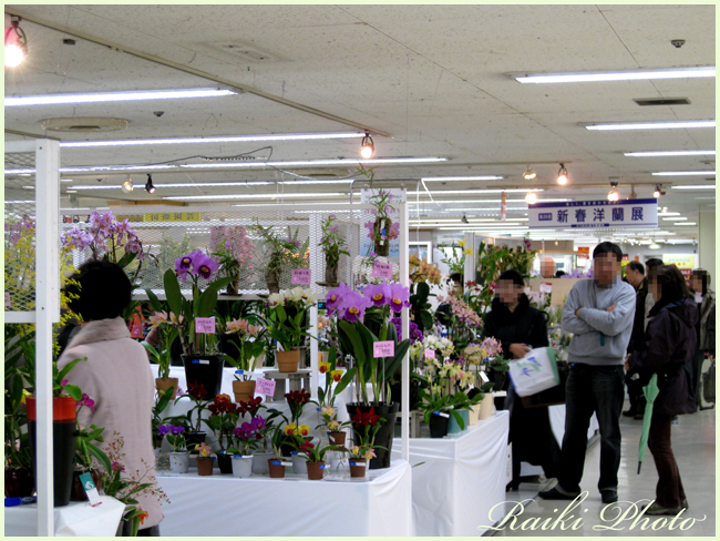 d0035398_23205069.jpg