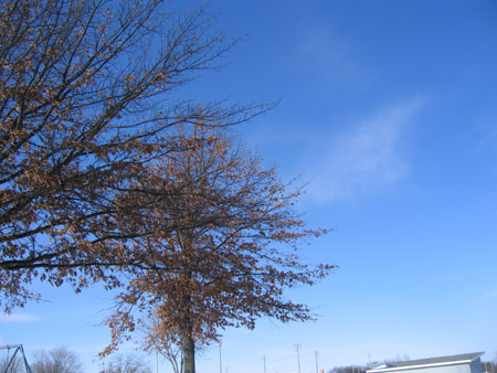 f0014600_12412058.jpg