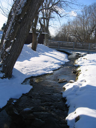 f0014600_12543046.jpg