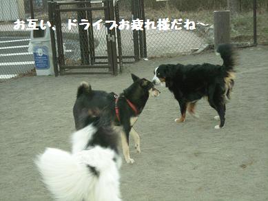 f0081100_19184538.jpg