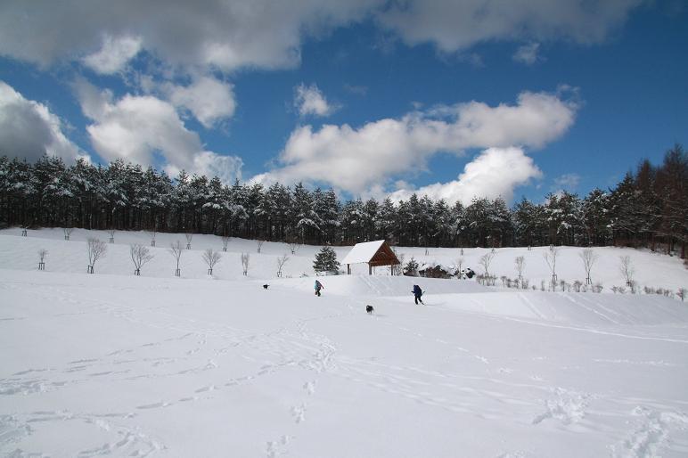f0034602_21543875.jpg