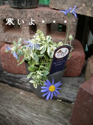 c0190010_21384450.jpg