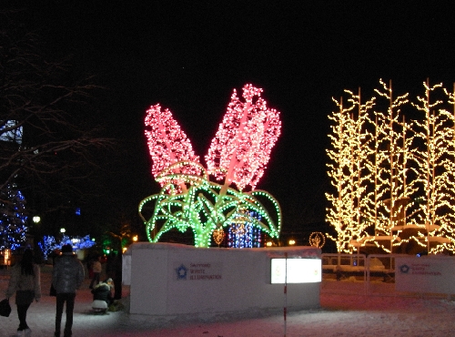 f0006510_20333978.jpg