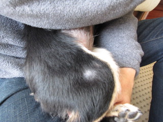 c0185516_22171779.jpg
