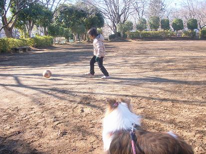 a0053420_04594.jpg