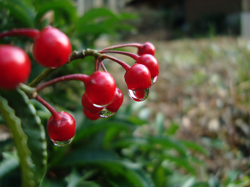 d0089024_14473085.jpg
