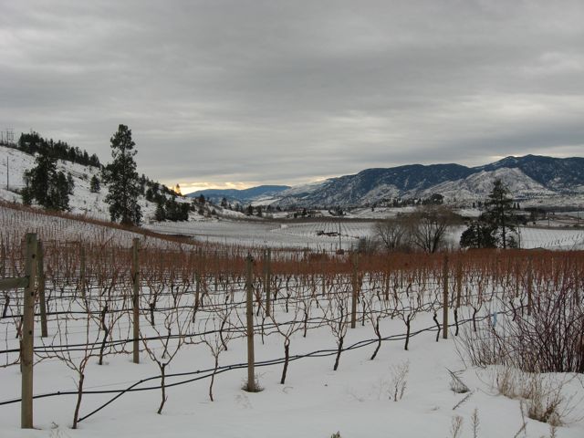c0188527_1665575.jpg