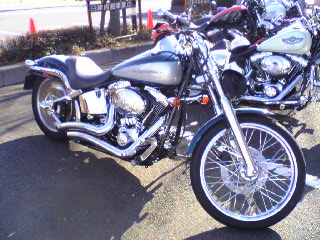 a0099129_16175012.jpg