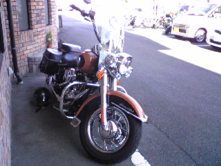 a0099129_16285279.jpg