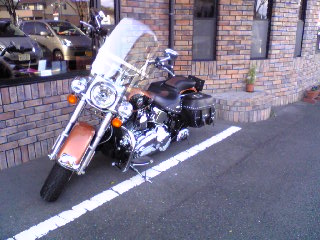 a0099129_1629392.jpg