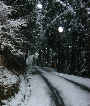 f0150629_23315636.jpg