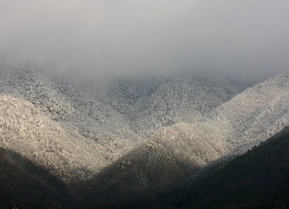 f0150629_2331848.jpg