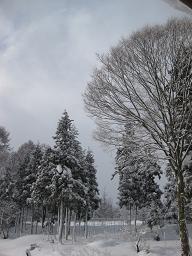 b0116933_214165.jpg
